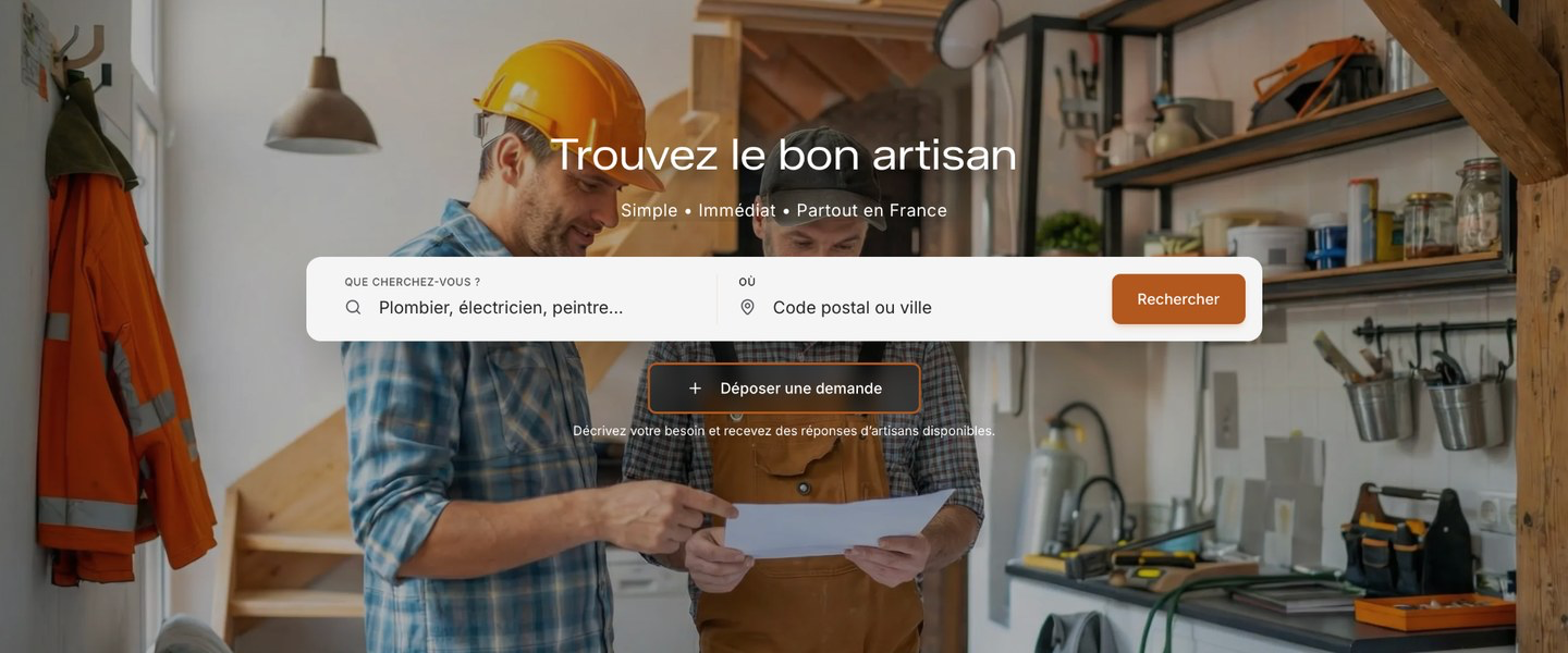 Visuel de couverture de Bricolynx
